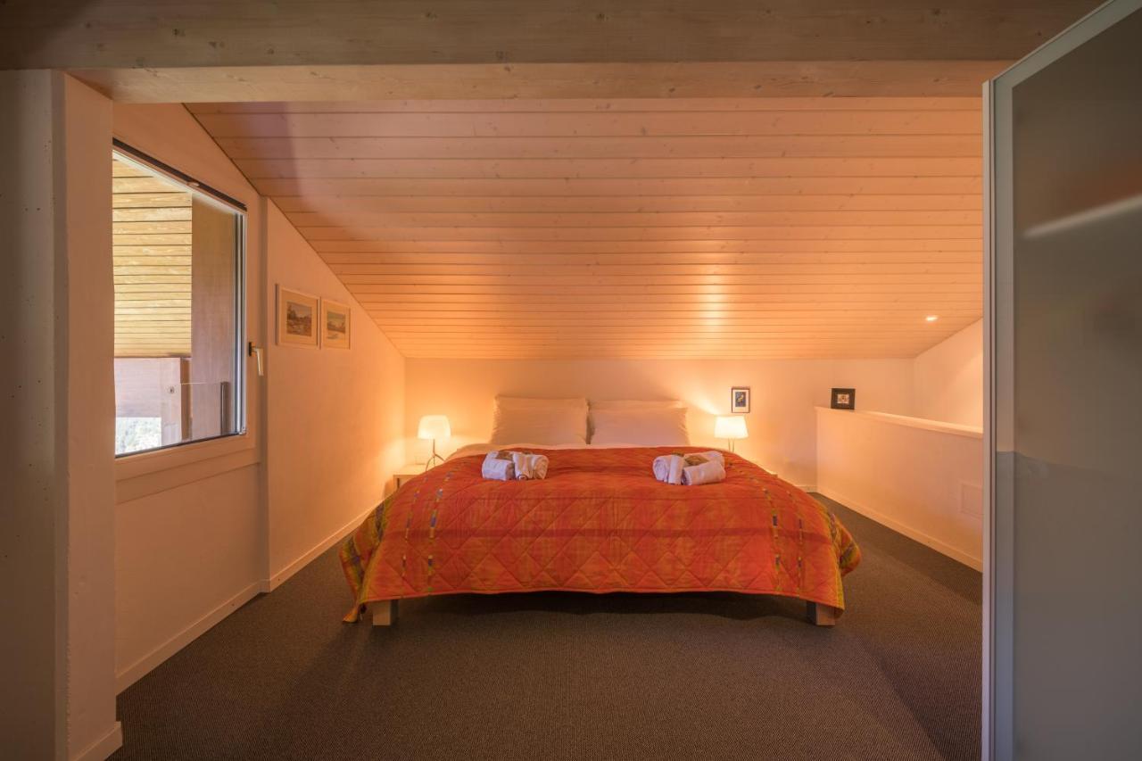 Primula Penthouse *